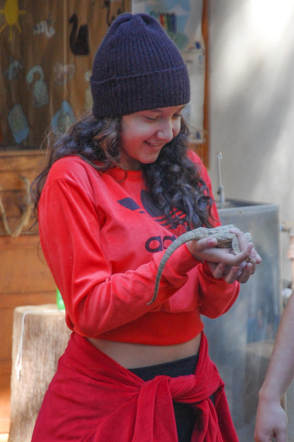 Buy your photos of the eventNR1 - Cl�ssico de 15 a 18/06/17 on Fotop