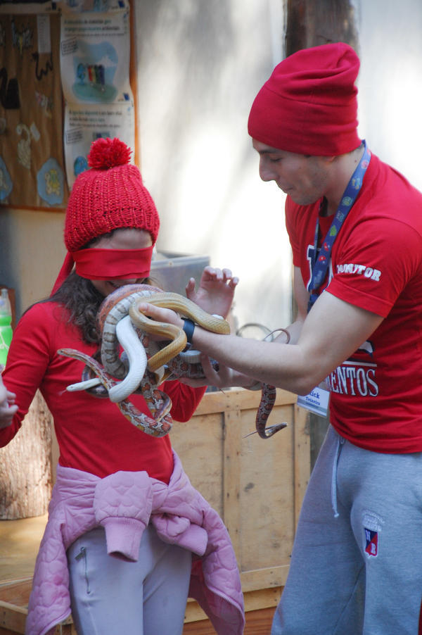 Buy your photos of the eventNR1 - Cl�ssico de 15 a 18/06/17 on Fotop