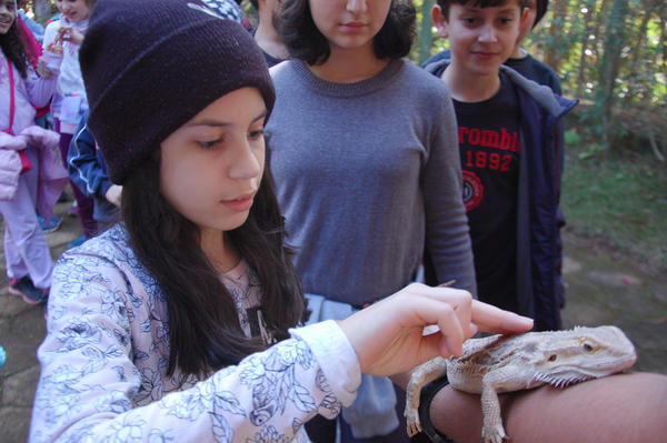 Buy your photos of the eventNR1 - Cl�ssico de 15 a 18/06/17 on Fotop