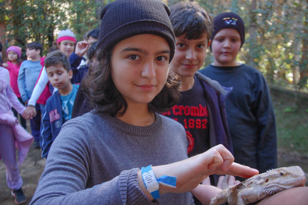 Buy your photos of the eventNR1 - Cl�ssico de 15 a 18/06/17 on Fotop