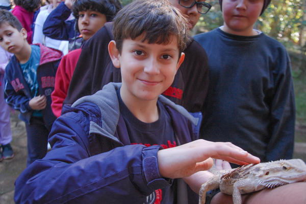 Buy your photos of the eventNR1 - Cl�ssico de 15 a 18/06/17 on Fotop