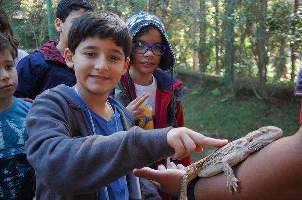 Buy your photos of the eventNR1 - Cl�ssico de 15 a 18/06/17 on Fotop