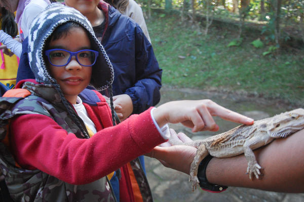 Buy your photos of the eventNR1 - Cl�ssico de 15 a 18/06/17 on Fotop