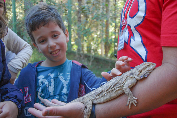 Buy your photos of the eventNR1 - Cl�ssico de 15 a 18/06/17 on Fotop