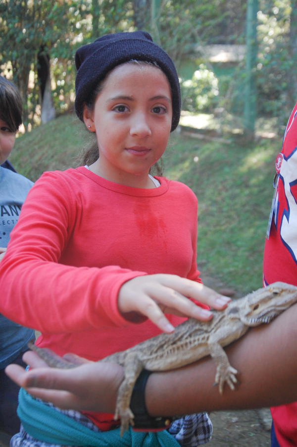 Buy your photos of the eventNR1 - Cl�ssico de 15 a 18/06/17 on Fotop