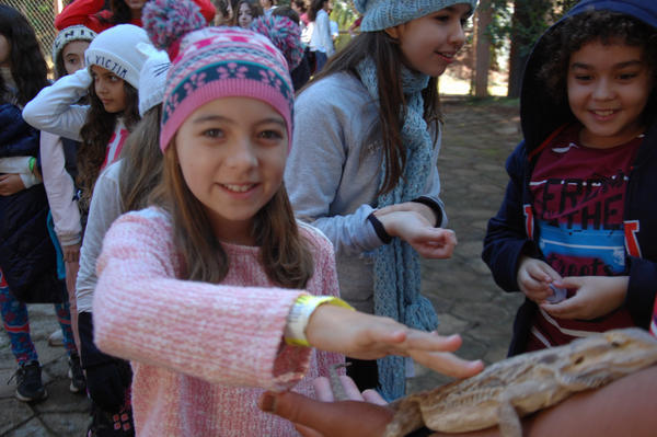 Buy your photos of the eventNR1 - Cl�ssico de 15 a 18/06/17 on Fotop