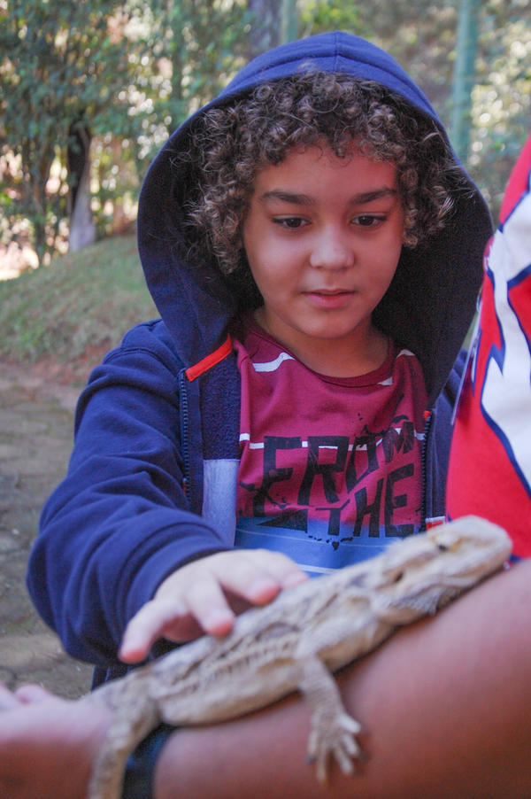 Buy your photos of the eventNR1 - Cl�ssico de 15 a 18/06/17 on Fotop