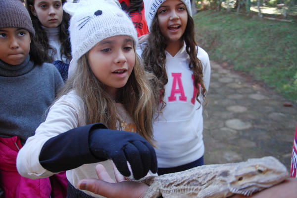 Buy your photos of the eventNR1 - Cl�ssico de 15 a 18/06/17 on Fotop