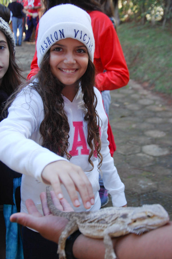 Buy your photos of the eventNR1 - Cl�ssico de 15 a 18/06/17 on Fotop