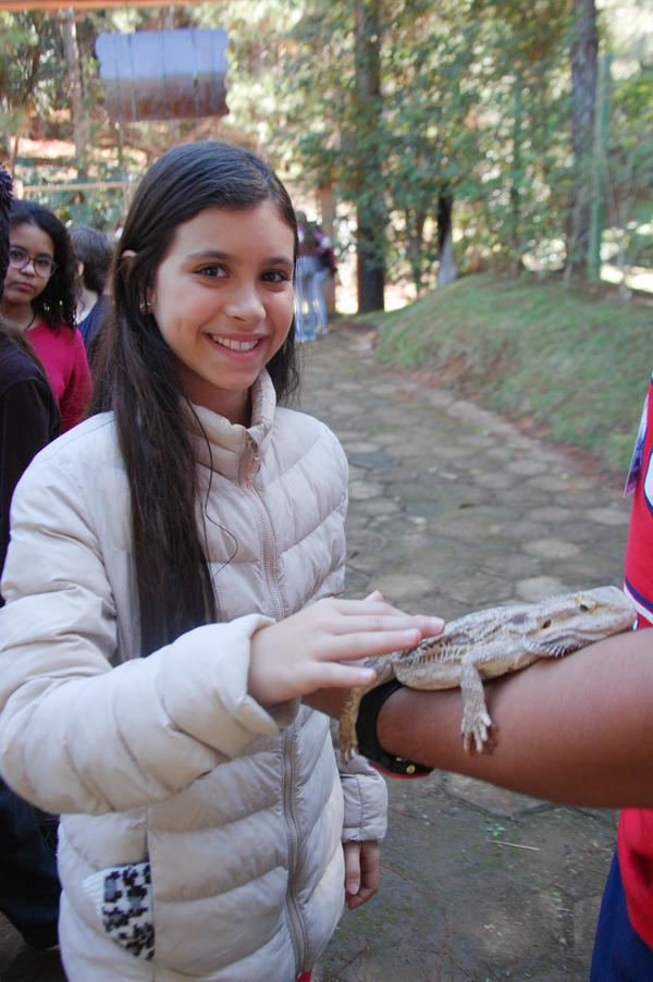 Buy your photos of the eventNR1 - Cl�ssico de 15 a 18/06/17 on Fotop