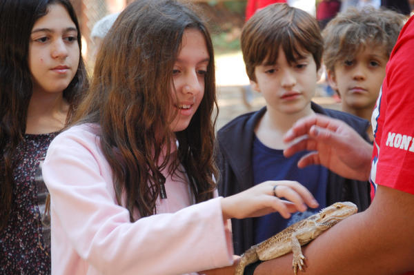 Buy your photos of the eventNR1 - Cl�ssico de 15 a 18/06/17 on Fotop