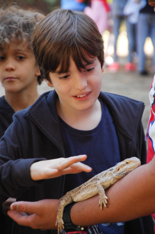 Buy your photos of the eventNR1 - Cl�ssico de 15 a 18/06/17 on Fotop