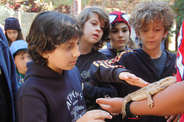 Buy your photos of the eventNR1 - Cl�ssico de 15 a 18/06/17 on Fotop