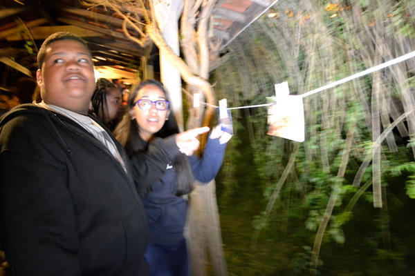 Buy your photos of the eventNR2 - Lab 15 a 18/06/17 on Fotop