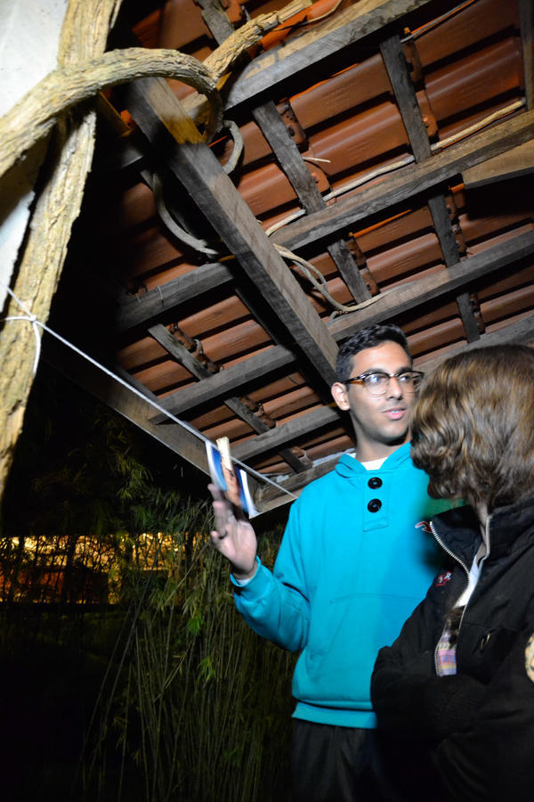 Buy your photos of the eventNR2 - Lab 15 a 18/06/17 on Fotop