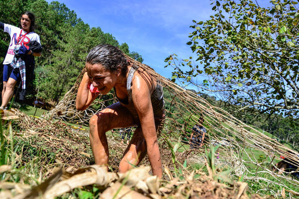 Buy your photos of the eventNR2 - Lab 15 a 18/06/17 on Fotop