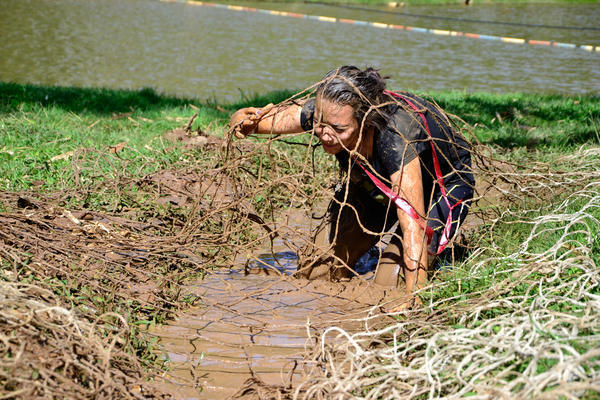 Buy your photos of the eventNR2 - Lab 15 a 18/06/17 on Fotop