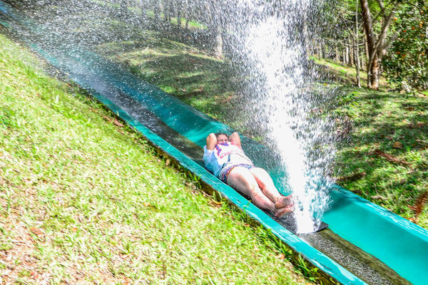 Buy your photos of the eventNR2 - Lab 15 a 18/06/17 on Fotop