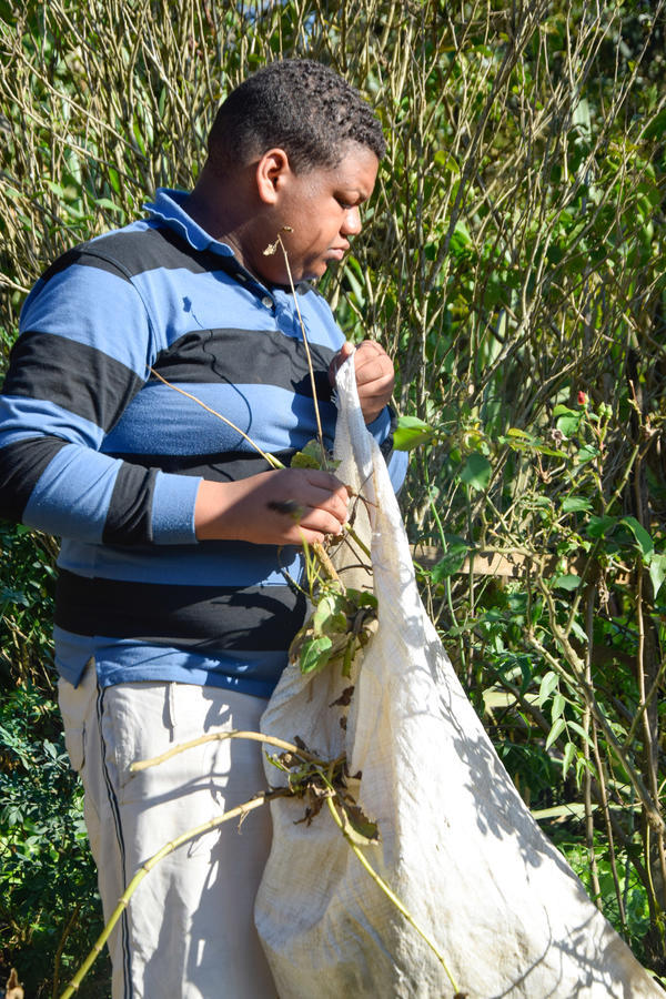 Buy your photos of the eventNR2 - Lab 15 a 18/06/17 on Fotop