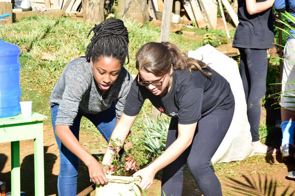 Buy your photos of the eventNR2 - Lab 15 a 18/06/17 on Fotop