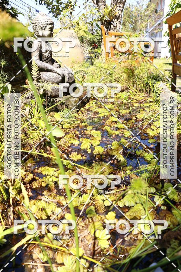 Buy your photos of the eventK21 Penedo RJ 2017 on Fotop