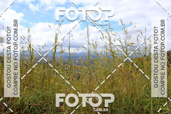Buy your photos of the eventPelotonBH - BH-Ouro Preto-BH on Fotop