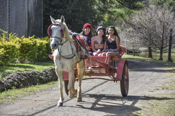 Buy your photos of the eventNR2 - Cl�ssico 03 a 04/07/17 on Fotop