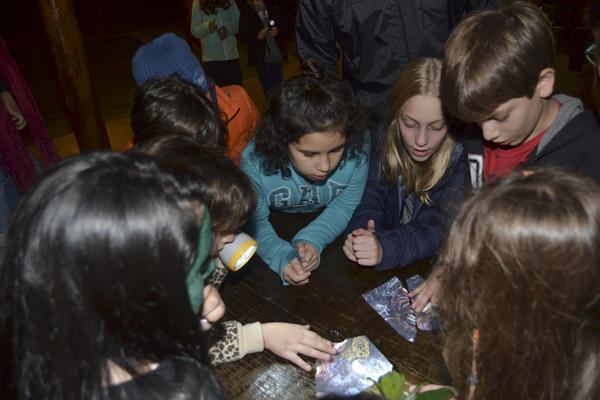 Buy your photos of the eventNR1 - Kids 10 a 16/07/17 on Fotop