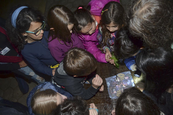 Buy your photos of the eventNR1 - Kids 10 a 16/07/17 on Fotop