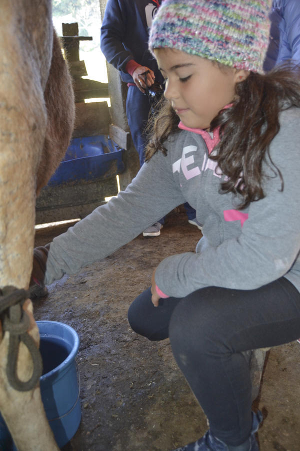 Buy your photos of the eventNR1 - Kids 10 a 16/07/17 on Fotop