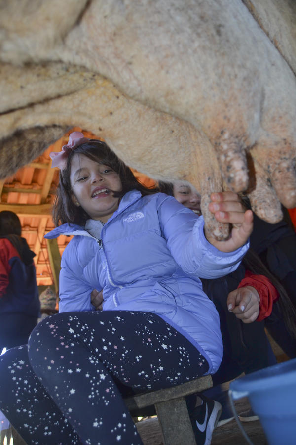 Buy your photos of the eventNR1 - Kids 10 a 16/07/17 on Fotop