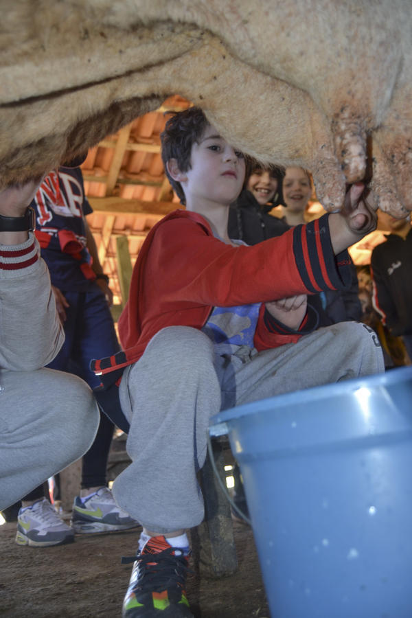 Buy your photos of the eventNR1 - Kids 10 a 16/07/17 on Fotop