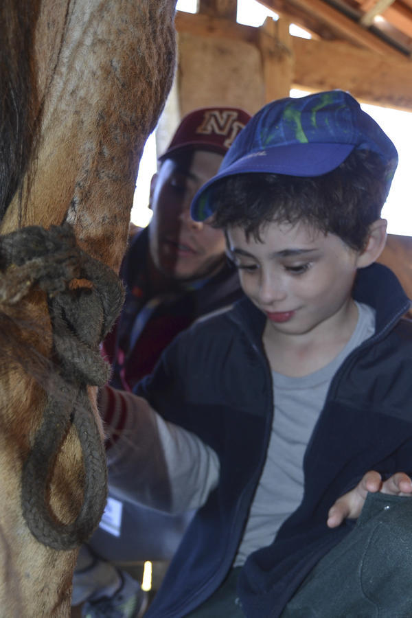 Buy your photos of the eventNR1 - Kids 10 a 16/07/17 on Fotop