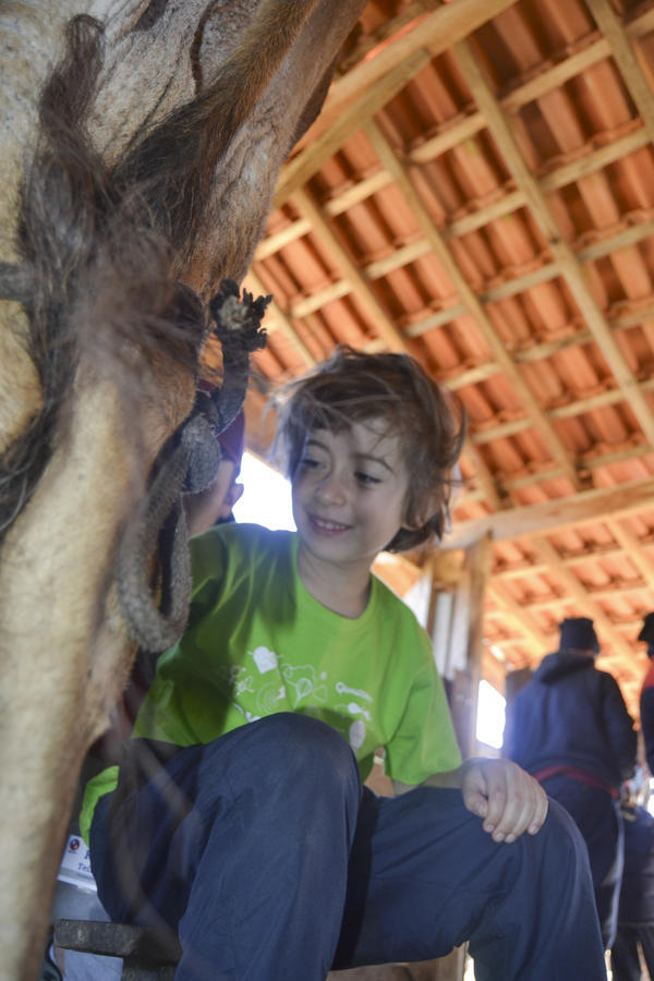 Buy your photos of the eventNR1 - Kids 10 a 16/07/17 on Fotop