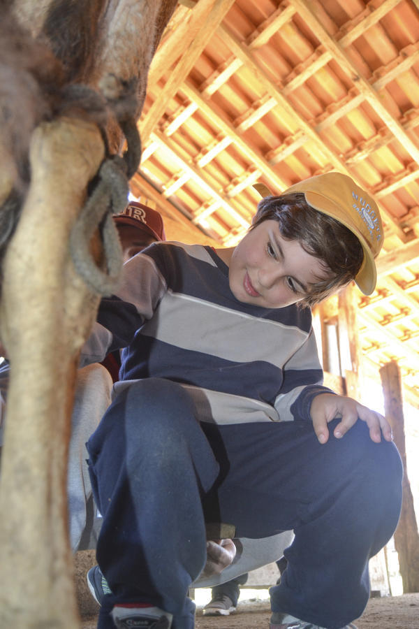 Buy your photos of the eventNR1 - Kids 10 a 16/07/17 on Fotop