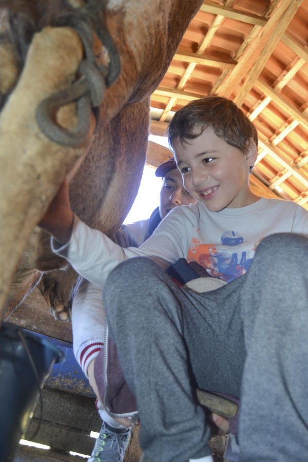 Buy your photos of the eventNR1 - Kids 10 a 16/07/17 on Fotop