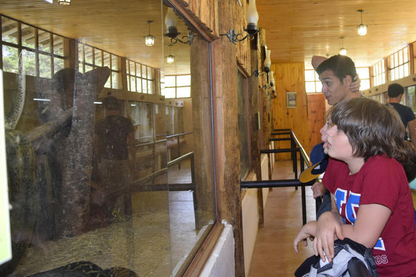 Buy your photos of the eventNR1 - Kids 10 a 16/07/17 on Fotop