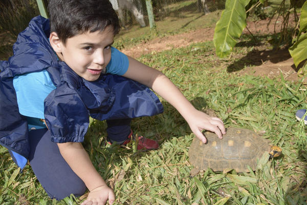 Buy your photos of the eventNR1 - Kids 10 a 16/07/17 on Fotop