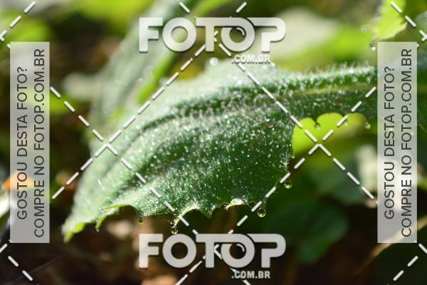 Compre as suas fotos do evento2 Marathon Vale das Termas no Fotop