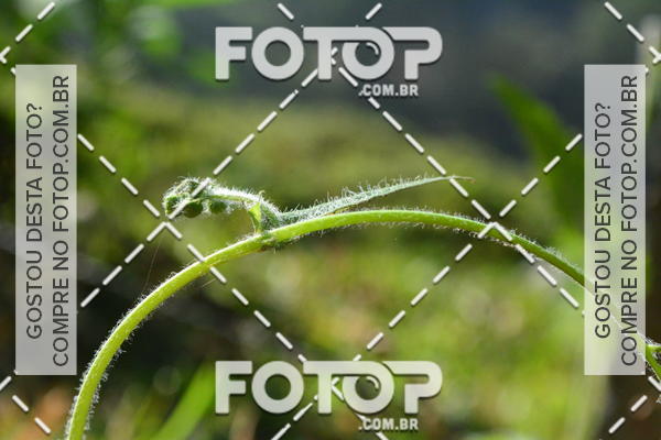 Compre suas fotos do evento2 Marathon Vale das Termas no Fotop