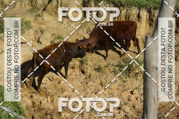 Buy your photos of the event2 Marathon Vale das Termas on Fotop