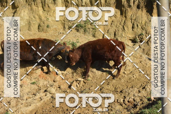 Buy your photos of the event2 Marathon Vale das Termas on Fotop
