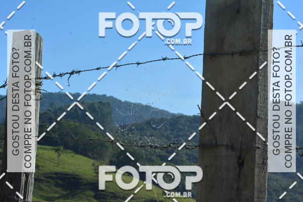 Buy your photos of the event2 Marathon Vale das Termas on Fotop