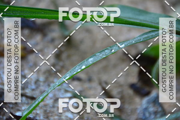 Buy your photos of the event2 Marathon Vale das Termas on Fotop