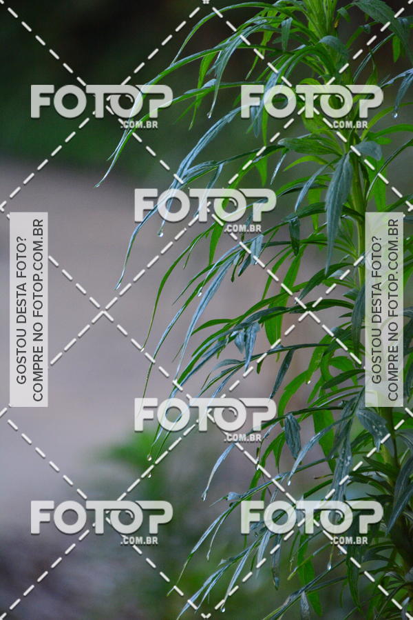 Buy your photos of the event2 Marathon Vale das Termas on Fotop