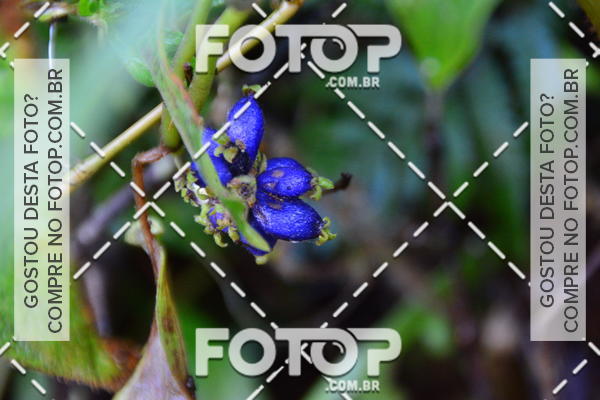 Buy your photos of the event2 Marathon Vale das Termas on Fotop