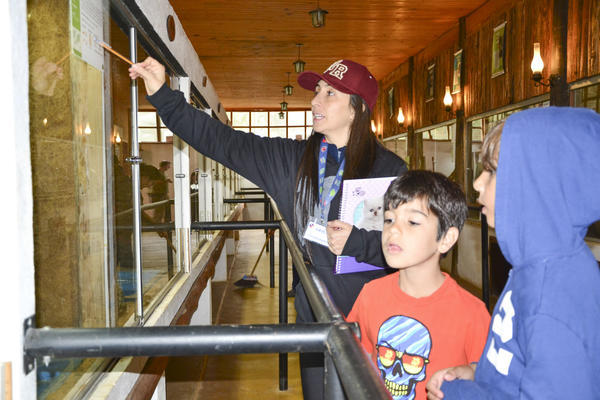 Buy your photos of the eventNR1 - Kids 17 a 23/07/17 on Fotop