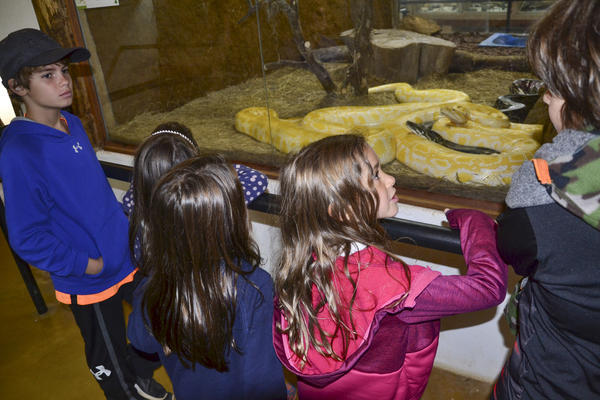 Buy your photos of the eventNR1 - Kids 17 a 23/07/17 on Fotop