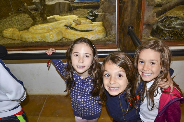 Buy your photos of the eventNR1 - Kids 17 a 23/07/17 on Fotop