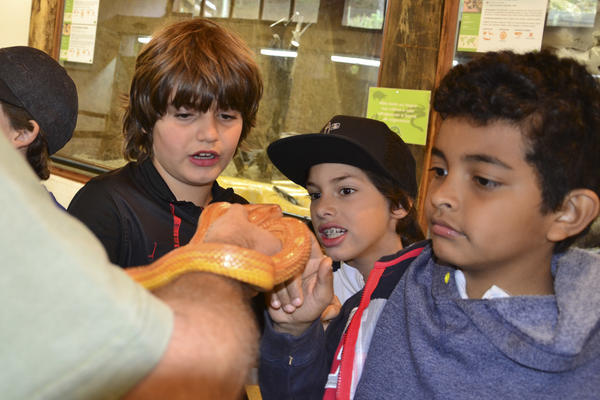 Buy your photos of the eventNR1 - Kids 17 a 23/07/17 on Fotop